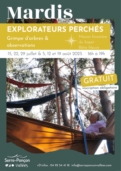 Mardis > Grimpe aux arbres