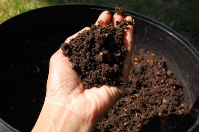 Le compost est mûr, servez-vous dans tous nos sites de compostage partagé !