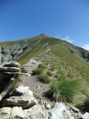 https://hautes-alpes.n2000.fr/
