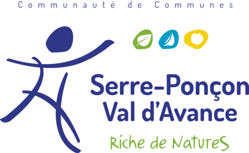 Logo CCSPVA - png Logo CCSPVA - png