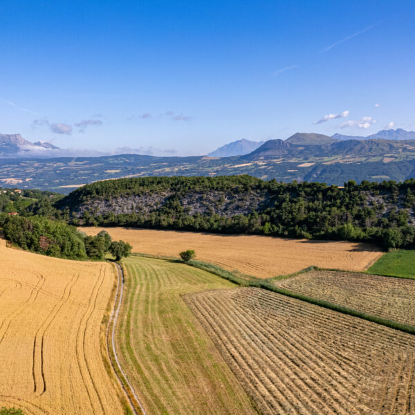 Vallée de l'Avance en été