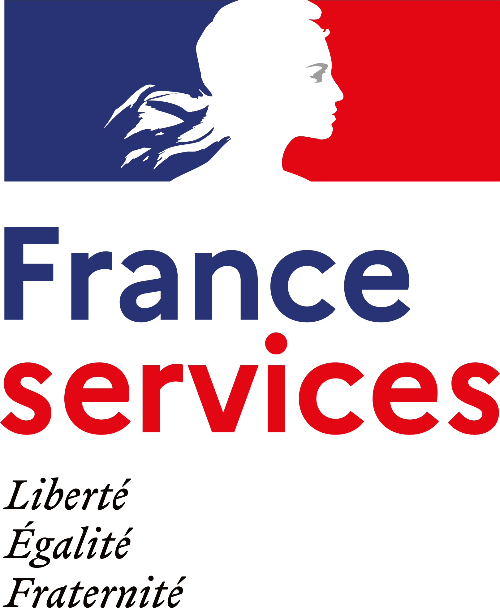 Logo FS